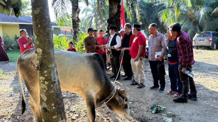 Serahkan Qurban Di Palas, Rapidin Simbolon : Idul Adha Momen Meninggikan Nilai Kemanusiaan