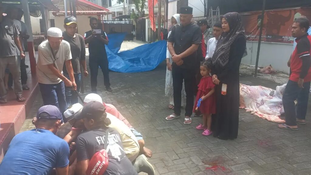 Idul Adha 1447 H, Robi Barus Berqurban 2 Ekor Lembu