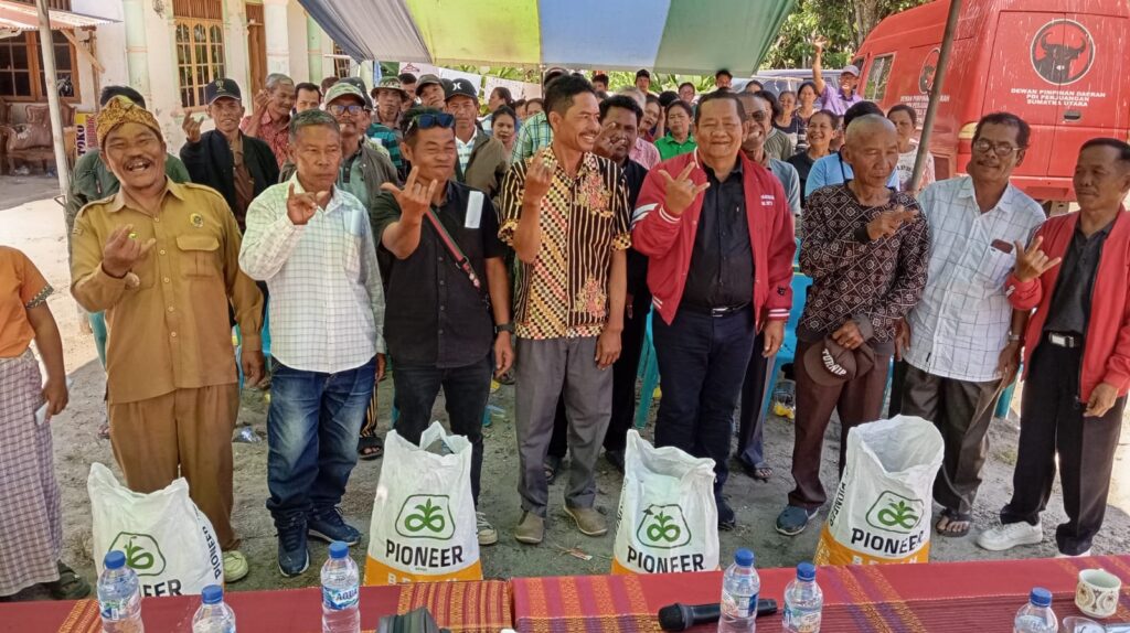 Bantu Petani Di Kecamatan Simanindo, PDI Perjuangan Sumut bagi Bibit Jagung Unggul
