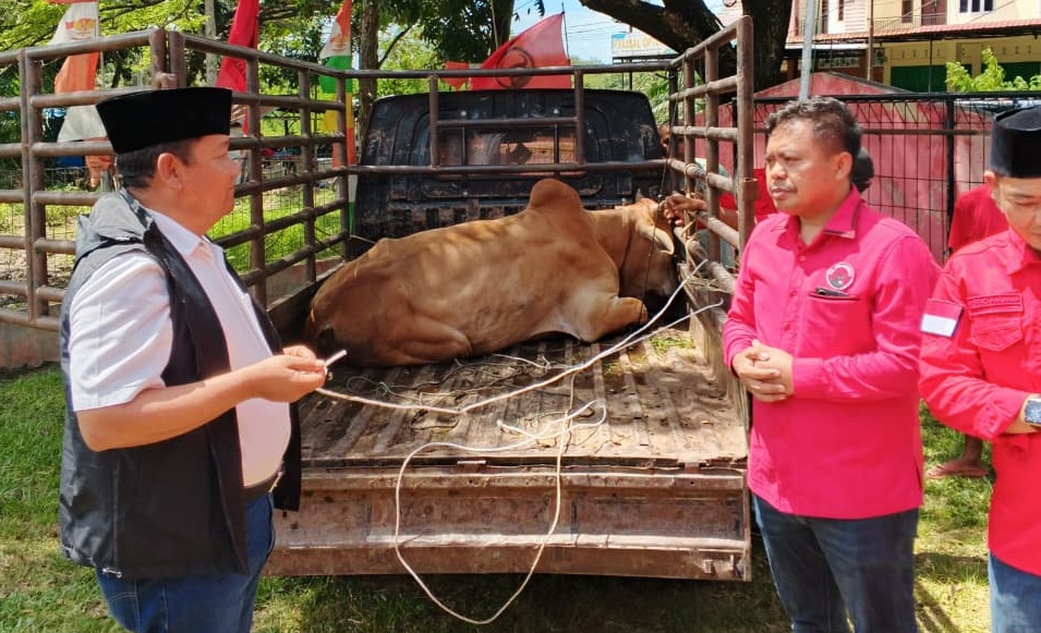 Safari Idul Adha, Rapidin Simbolon Serahka Hewan Qurban ke DPC Padang Lawas Utara