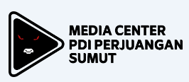 pdiperjuangansumut.com