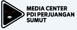 pdiperjuangansumut.com